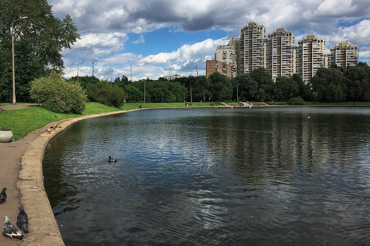 Долина реки Сетуни. Фотография 2