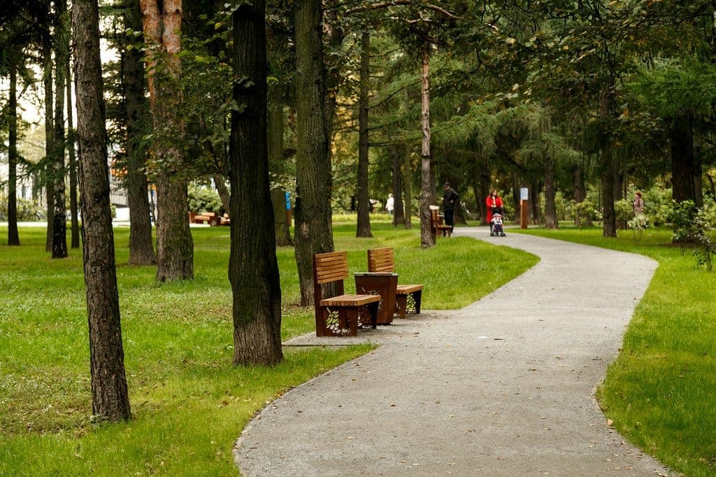 Аршиновский парк. Фотография 2
