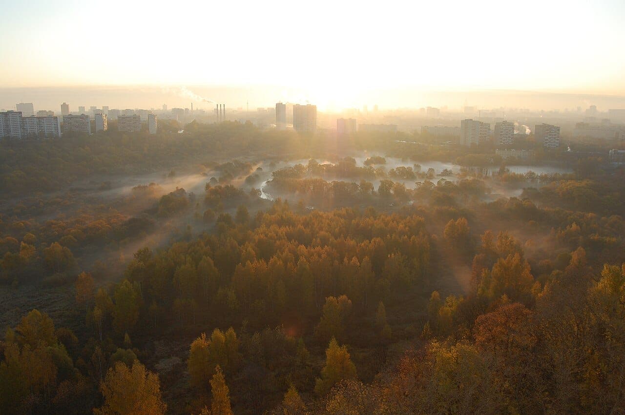 Сходненская чаша